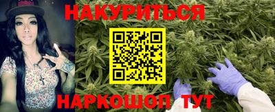 гашик Моздок