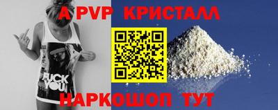 гашик Моздок