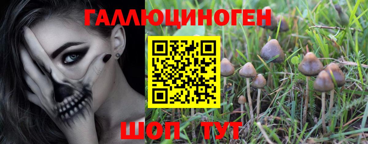 Галлюциногенные грибы мухоморы Омск