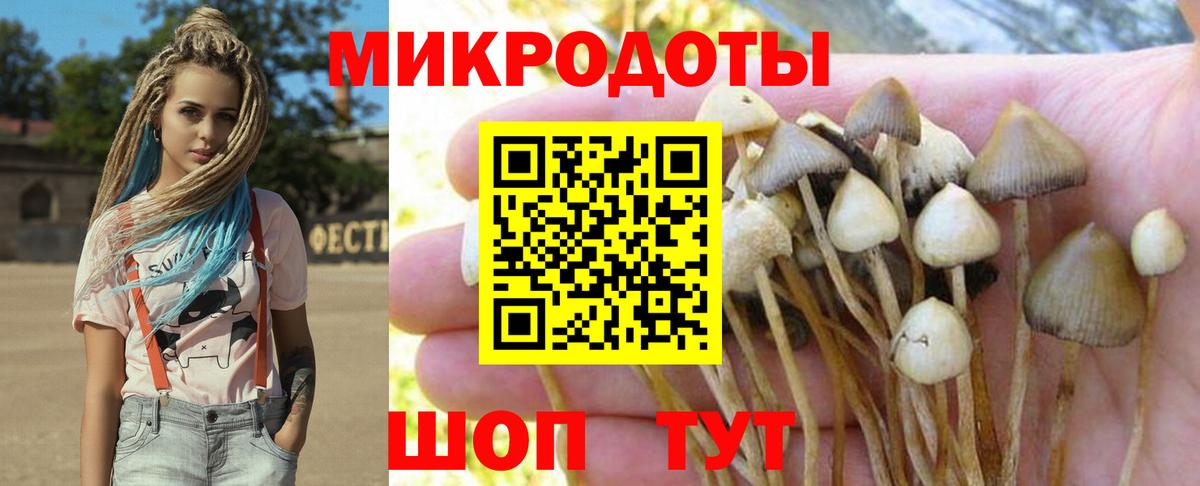 Омск  Псилоцибиновые грибы Cubensis  Вход с VPN 